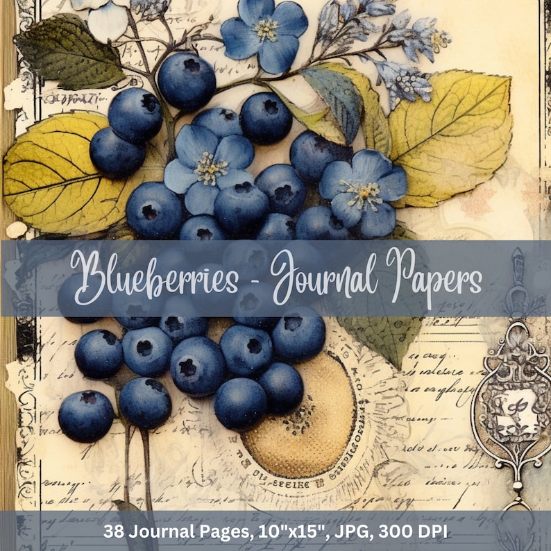 Blueberry Junk Journal Pages: Vintage Scrapbook Paper (digital Download ...