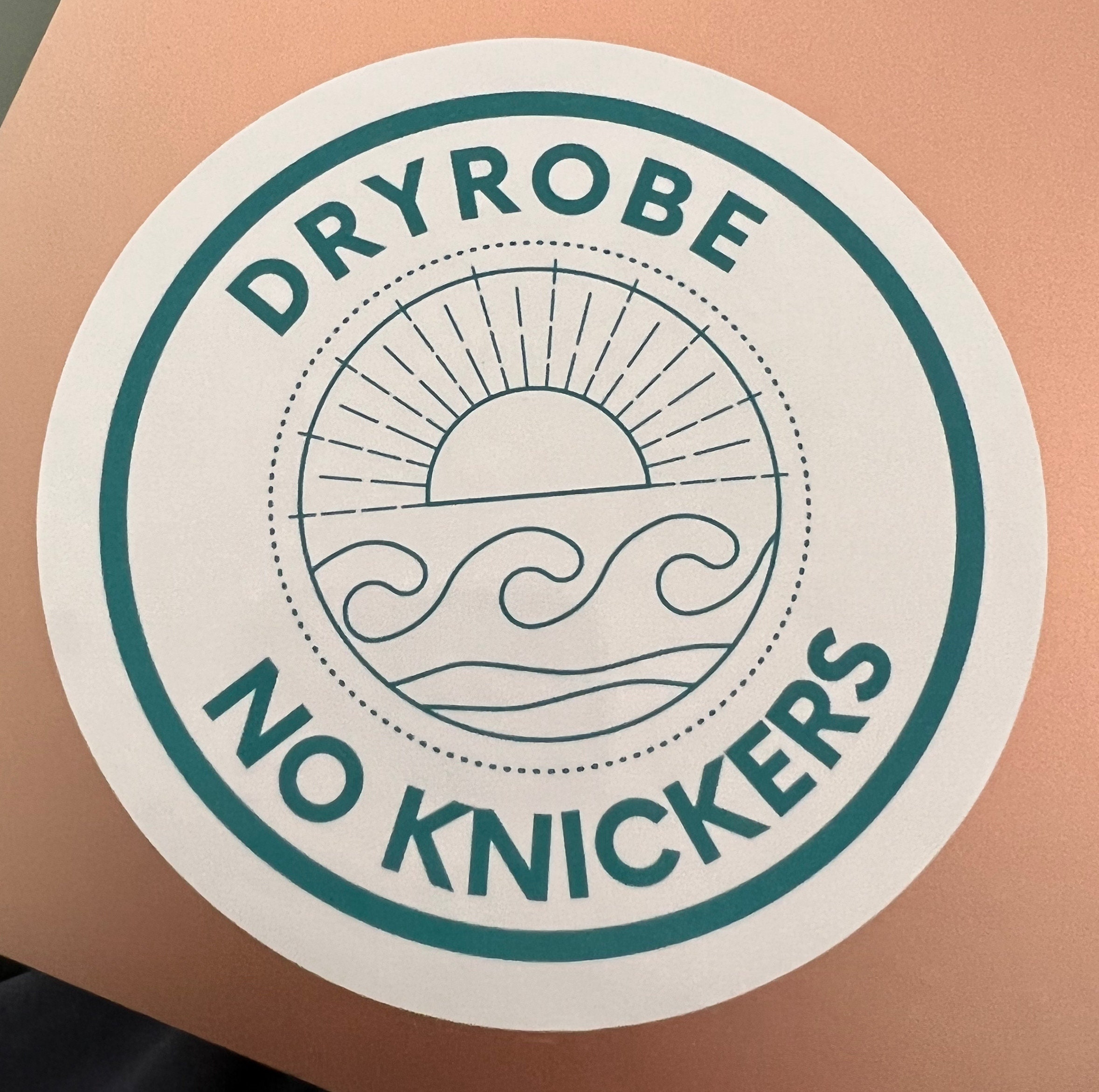 Static Cling 'dryrobe No Knickers' Sticker Swimming Etsy