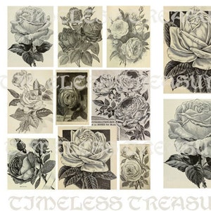 Junk Journal Roses black and white, vintage drawing ephemera scrapbook collage floral flower cards tags botanical digital shabby chic retro