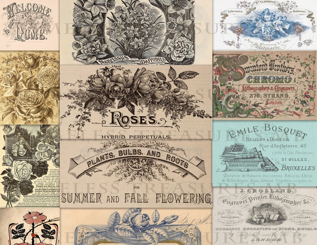 Kit de diario vintage, rosas efímeras imprimibles, etiquetas y anuncios  para álbumes de recortes, tarjetas de collage vintage digitales, jardinería 