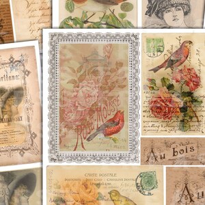 Op de afbeelding: Vintage stijl collage met afbeeldingen van rozen, vogels en vrouwen. De collage bevat tekst in het Frans, waaronder "Au bois" en "Carte Postale".