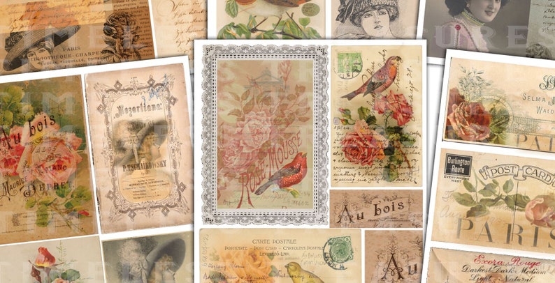 Op de afbeelding: Vintage stijl collage met afbeeldingen van rozen, vogels en vrouwen. De collage bevat tekst in het Frans, waaronder "Au bois" en "Carte Postale".