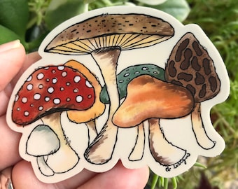 Autumn mushrooms for fungi lovers vinyl sticker