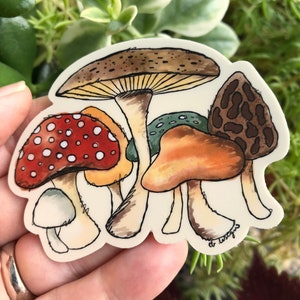 Autumn mushrooms for fungi lovers vinyl sticker image 1