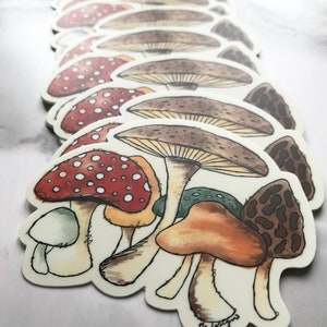 Autumn mushrooms for fungi lovers vinyl sticker image 4