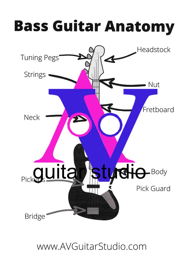 Bass Guitar Anatomy Etsy