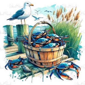 Blue Crab Basket aquarel PNG - Chesapeake Bay geïnspireerde digitale download - Maryland Crab Png - kustkunst - blauwe krab sublimatie
