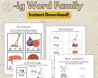 Word Family (-ig) Printable Activity Pack, -ig Words, Learning to Read, CVC Words, Homeschool