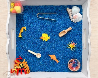 Ocean Animals Sensory Bin Kit, Sea Animals, Blue Colored Filler, Sensory Play, Girl Boy Kid's Birthday Gift, Preschool Activity, Wood toys