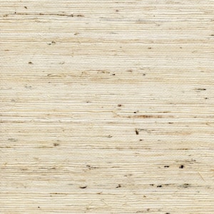 Puede incluir: Primer plano de un papel pintado texturizado con aspecto natural y tejido. El papel pintado presenta l&iacute;neas horizontales en diferentes tonos de beige y marr&oacute;n claro, creando una est&eacute;tica r&uacute;stica. Peque&ntilde;as motas oscuras est&aacute;n dispersas por la superficie.