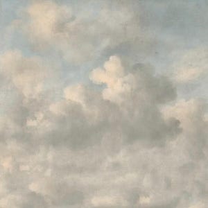 May include: A painting of a cloudy sky with soft, billowing clouds in shades of white, gray, and pale blue. The artwork evokes a sense of tranquility and natural beauty, suitable for wall art or home decor.