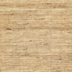 Puede incluir: Primer plano de un papel pintado texturizado en tonos naturales. La superficie est&aacute; tejida con fibras horizontales y verticales, creando un patr&oacute;n rugoso y org&aacute;nico. El color es un beige c&aacute;lido con variaciones tonales.