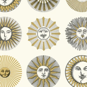 Soli Pictorial Solar Sun Motif Wallpaper - Traditional Wallpaper