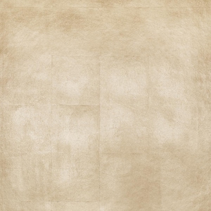 May include: A textured, off-white background with a subtle, grainy pattern. The background is divided into nine squares, creating a grid-like appearance.