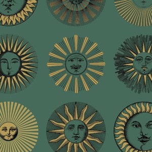 Soli Pictorial Solar Sun Motif Wallpaper - Traditional Wallpaper