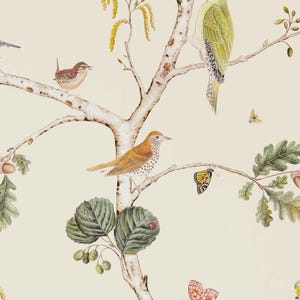 May include: A detailed illustration of a tree branch with various birds, butterflies, and acorns. The birds are in shades of blue, brown, and green, with a yellow butterfly and red butterfly. The background is a cream color.