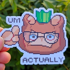 May include: A sticker with a pixelated cartoon character wearing glasses and a green crown. The character is saying "UM ACTUALLY" in a speech bubble.