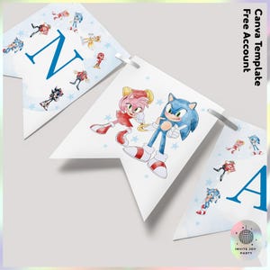 Może przedstawiać: Niebiesko-różowy baner urodzinowy z literami "NA" i kreskówkowym wizerunkiem Sonica the Hedgehog i Amy Rose. Baner jest ozdobiony gwiazdami i innymi postaciami z kreskówek.