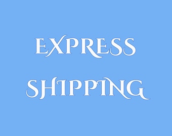 Express delivery upgrade, express shipping service