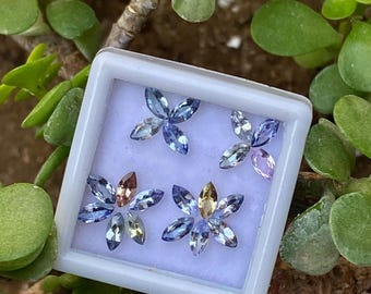 Markis Tanzanit Ädelstenar: 3,20 ct, 2,5 x 5 mm, 20 färger