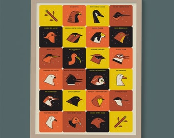 Birds of Quebec - Screenprinted poster 18x24 in