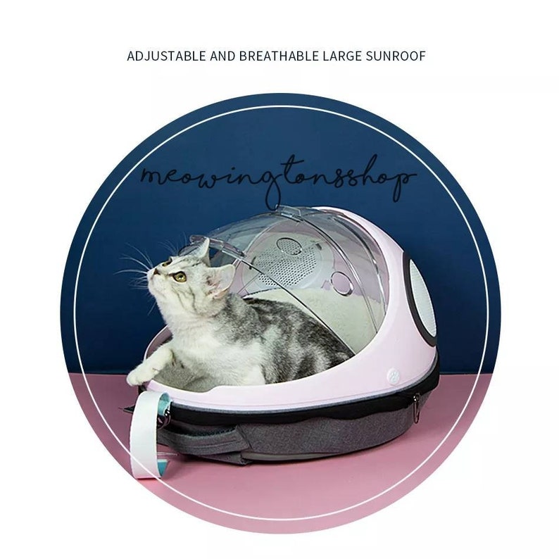 designer cat carrier