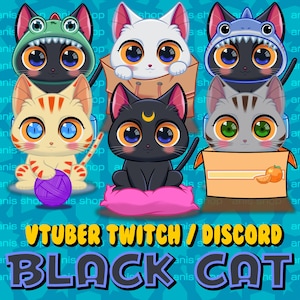 Live2d Vtuber Cute Cat / Vtuber Discord/ Vtuber Twitch/ Vtuber Model for Commercial multiple colors Ready to Use Live2D Full Body