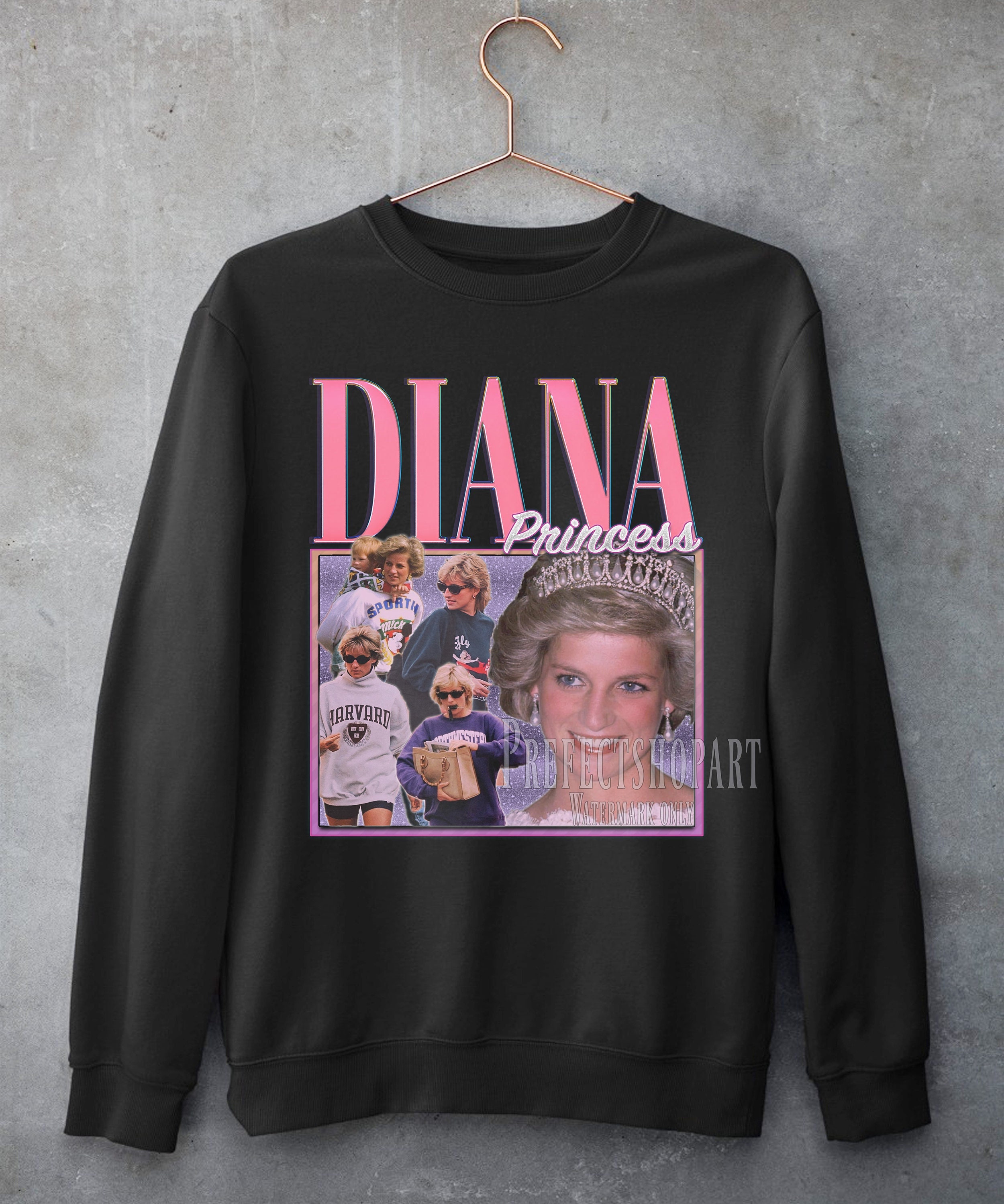 Princess Diana Revenge Dress Embroidered Crewneck 