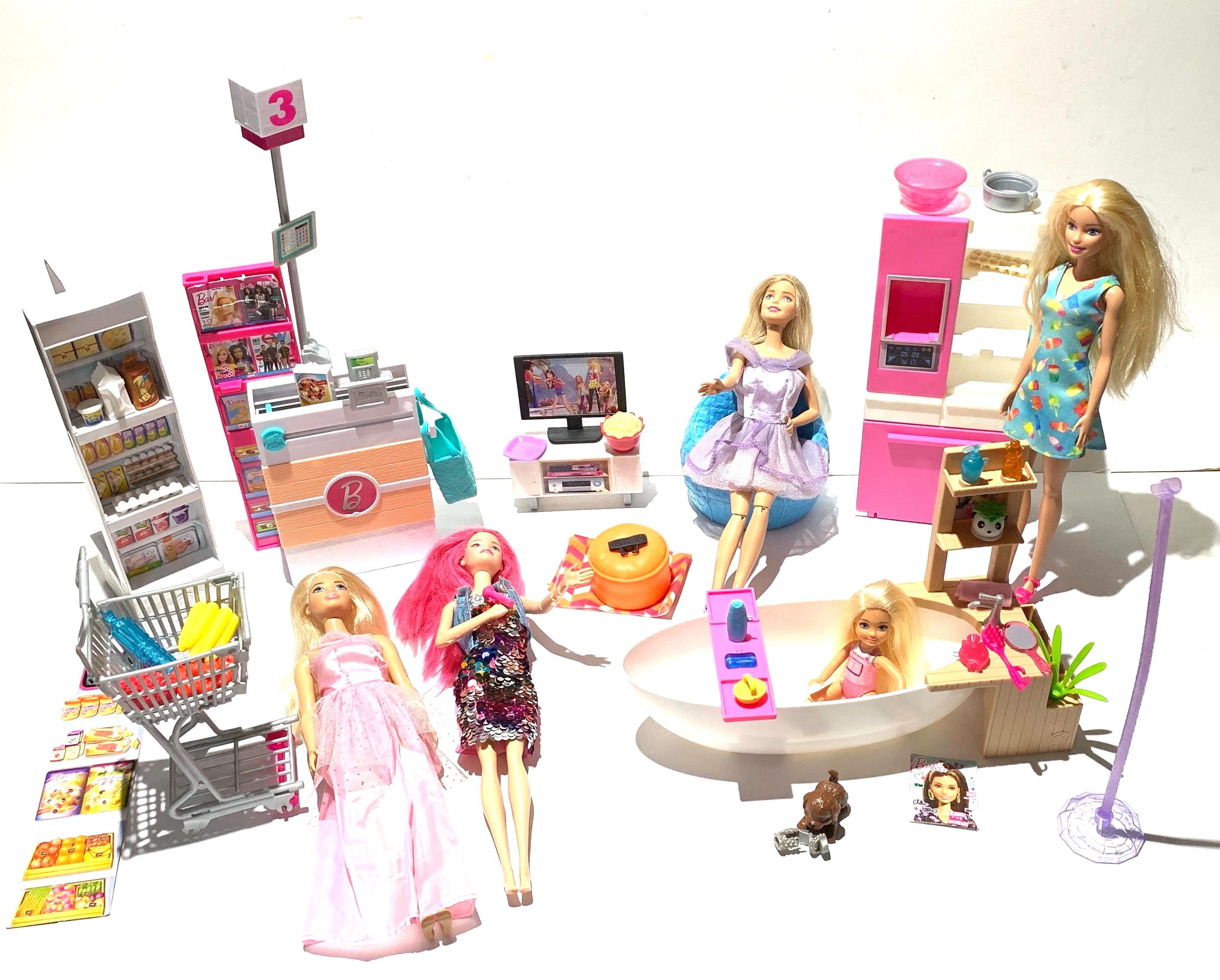 barbie sisters titi toys and dolls school