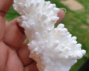 Stalactite Calcite Specimen