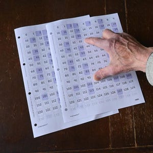 Descarga digital Tabla de números primos 'La criba de Eratóstenes'. Tamaños carta y A4 en pdf. Ideal para uso educativo en la escuela o en el hogar. Cualquier tamaño.