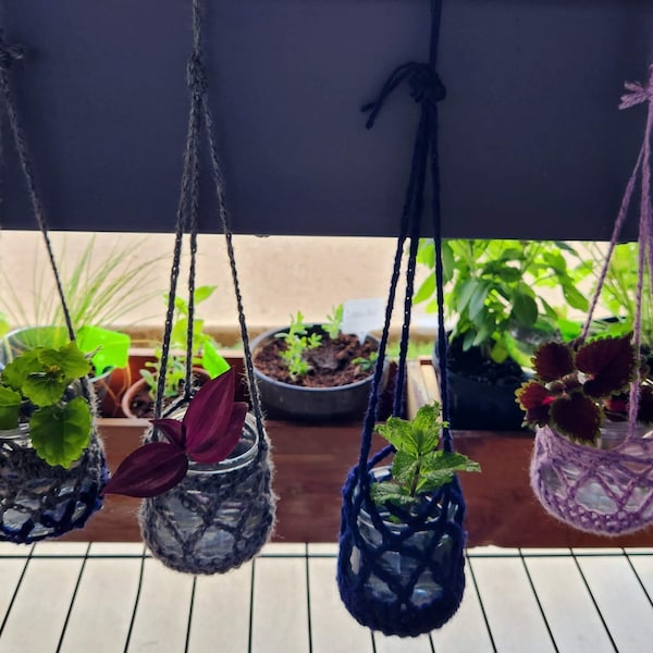 Plant hangers, small to large, mini hangers for cuttings