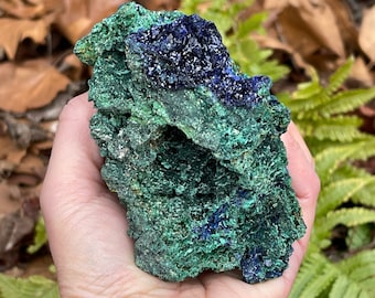 High Quality Azurite Geodes with Malachite and Other Specimens