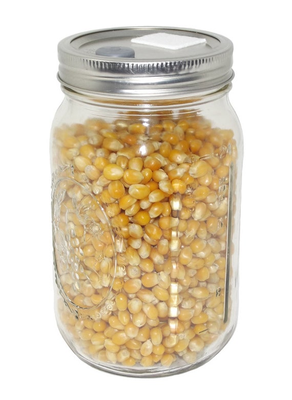 Sterilized Popcorn Tek Jars spawn for Mushroom Growing Etsy