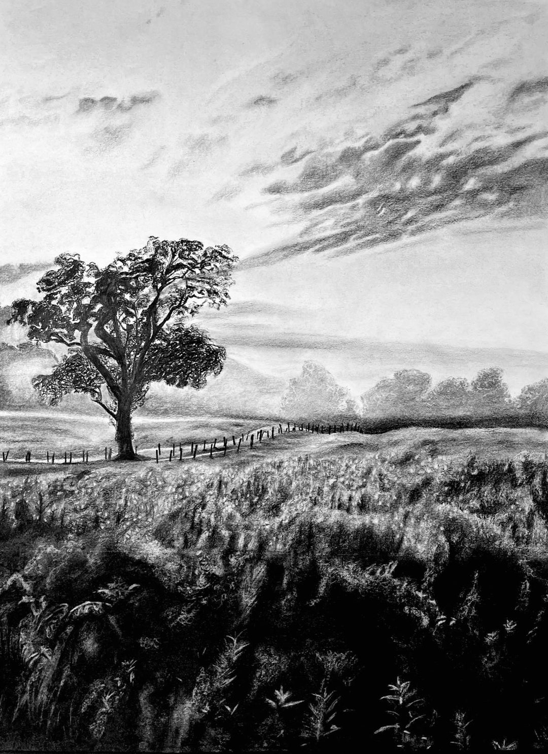 Landscape Charcoal Drawing Print 13x19in329x483mm Wall Artwall Art Etsy