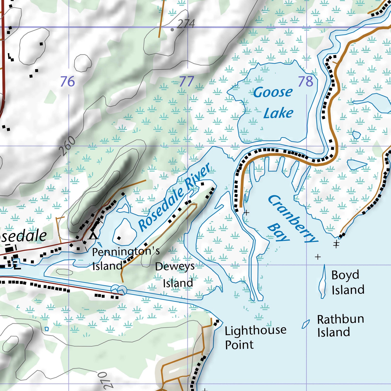 Cameron Lake Ontario Topographic Map Print Poster Etsy