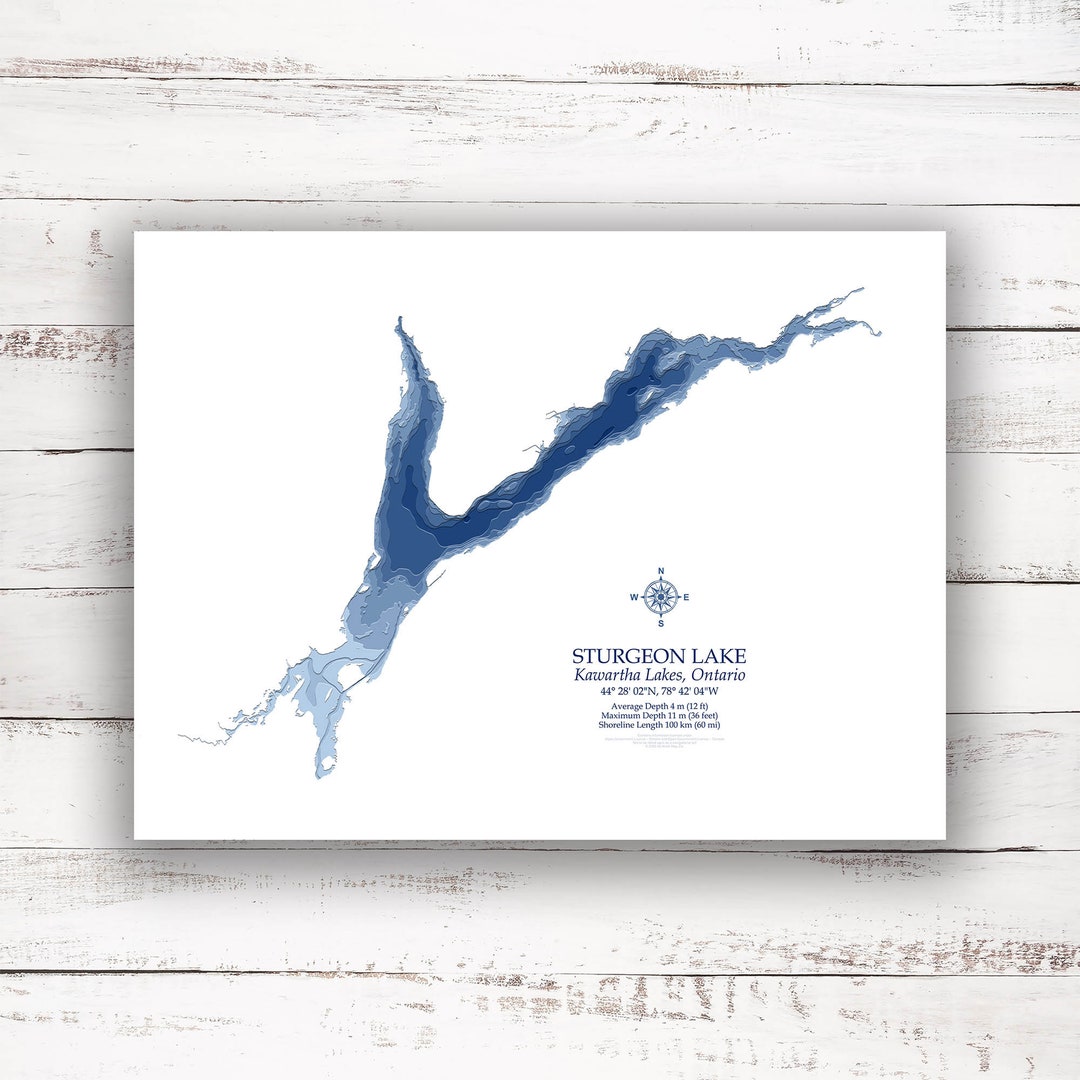 Sturgeon Lake Ontario Bathymetric Map Lake Depth Print Etsy
