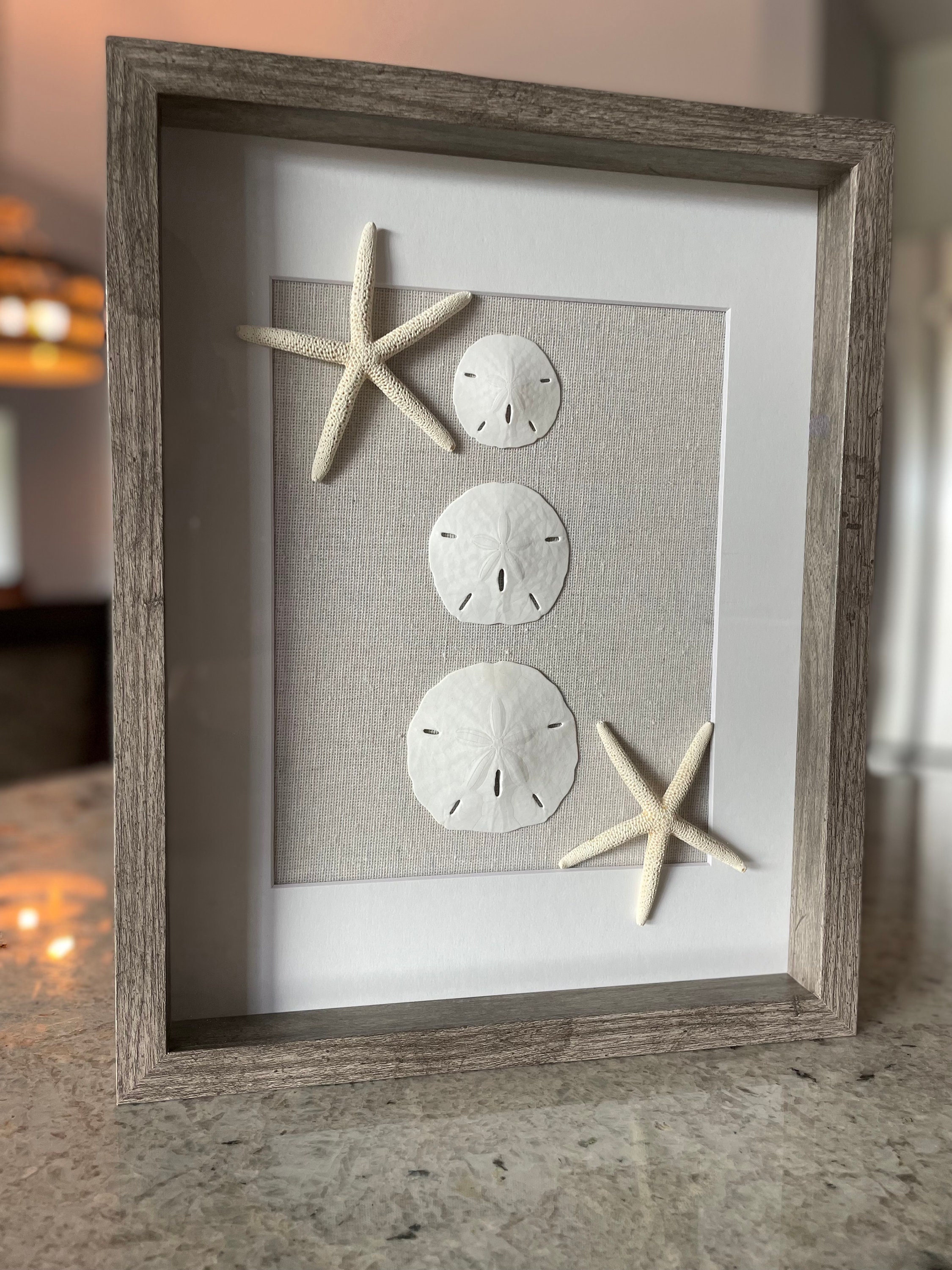 Handmade Sand Dollar & Starfish Shadowbox – Coastal Wall Art (11" X 14 ...