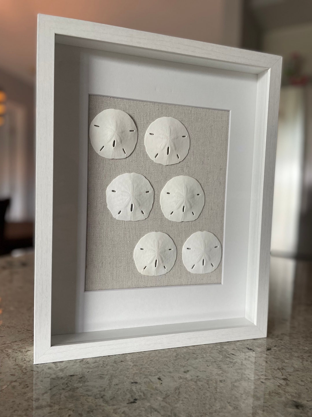 Handmade Sand Dollar Shadowbox – Coastal Beach House Decor (11" X 14 ...