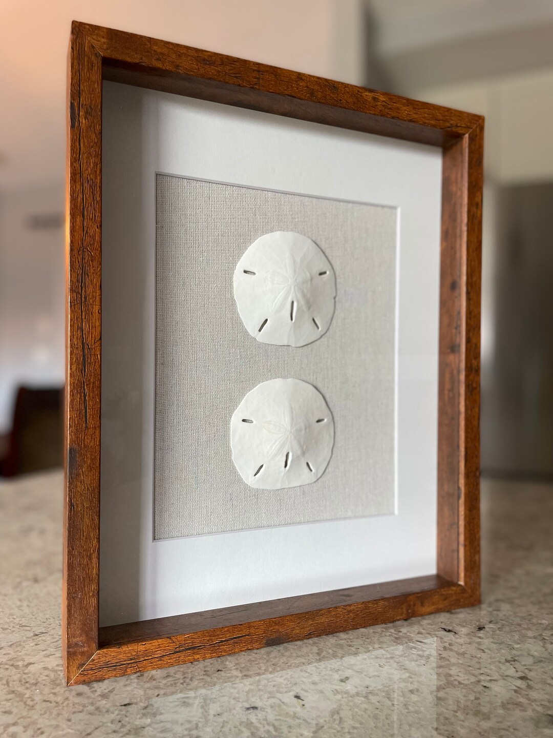 Sand Dollar Duo Shadowbox – Coastal Beach House Wall Art (11" X 14") - Etsy