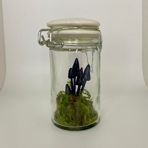 Mushrooms In A Jar