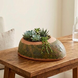May include: A low, oval-shaped terracotta planter with a textured, moss-green glazed exterior. The planter contains a variety of small succulents, including a trailing string of pearls plant, arranged in a cluster within the central opening.