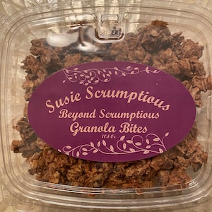 Beyond Scrumptious Granola Bites