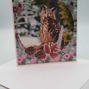 Carte hibou dans la nature.