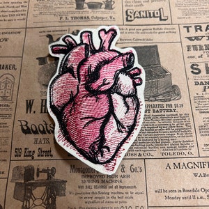 Anatomical Heart Patch