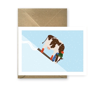 Kuh, Berge, Skifahren, Winterkarte, Südtirol, South Tyrol Postkarte mit Kuvert