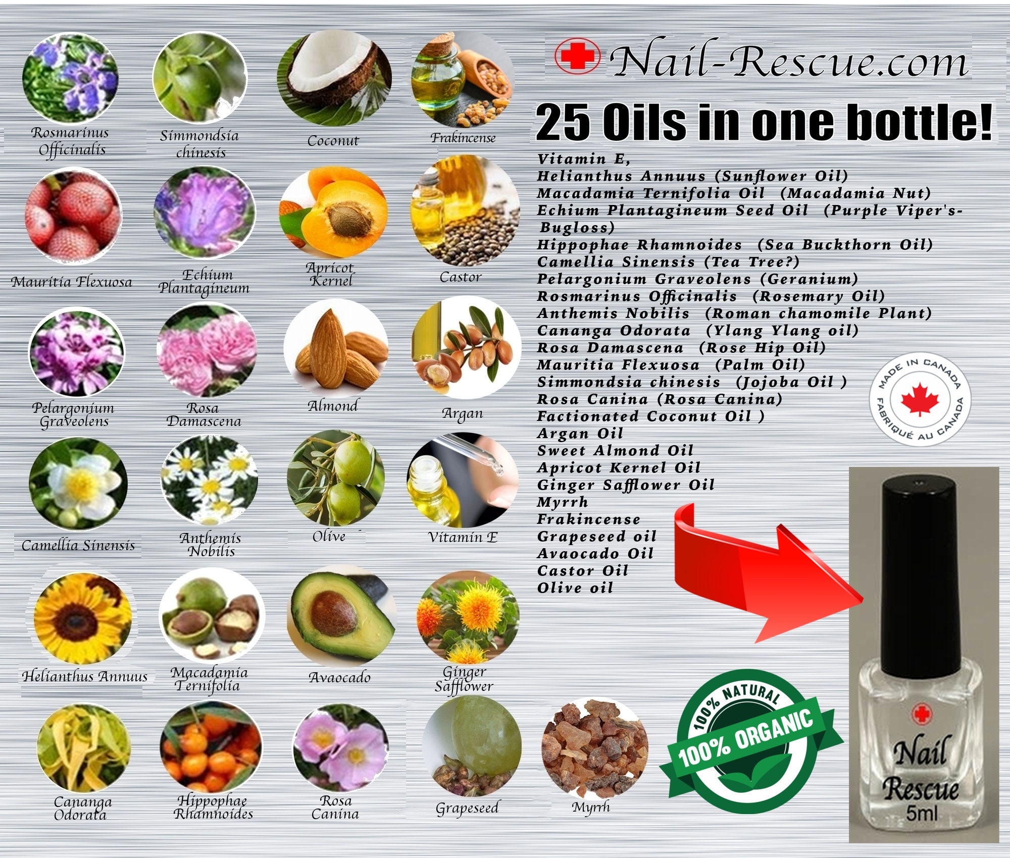 Wellos 4OZ 120ml Aromatherapy Essential Oils for Skin, Bear Growth