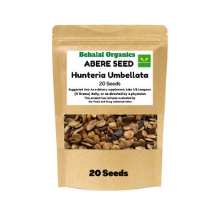Abere Seeds (Hunteria Umbellata) - Dry whole Abere 20 Seeds