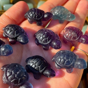 Cute Fluorite Turtle Carvings |  Healing Energy | Gifts | Pocket Crystal