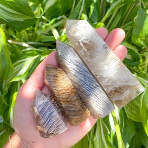 May include: Four clear quartz crystal points with brown and gray banding. The crystals are stacked on top of each other and are held in a hand.